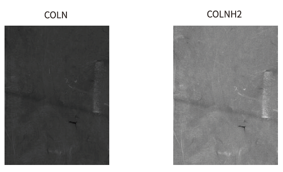 성능 비교 이미지